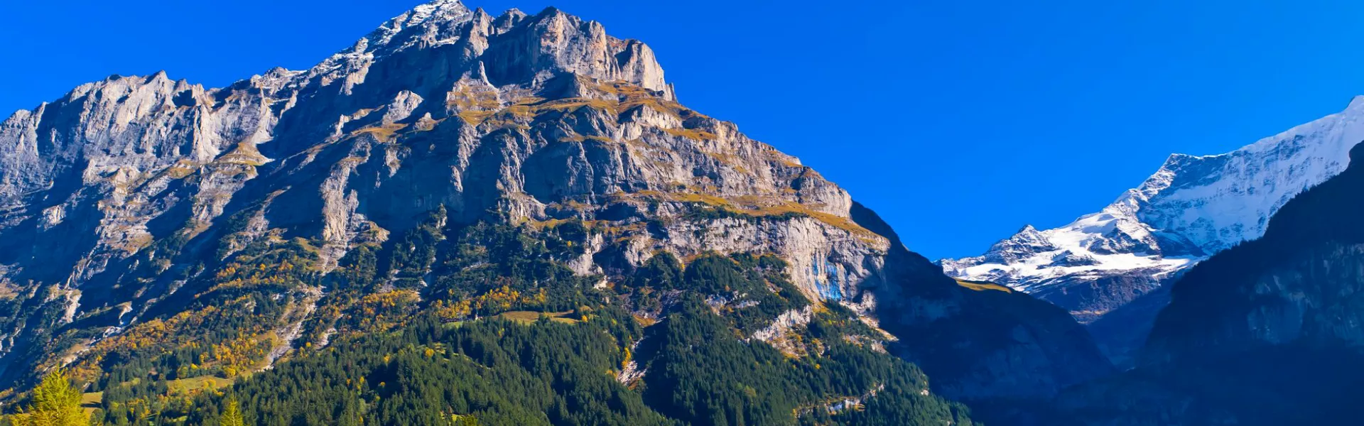Large Grindelwald, Swiss Alps, Canton Bern, Switzerland 529739418 1920X600