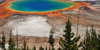 Yellowstone Guided Tour