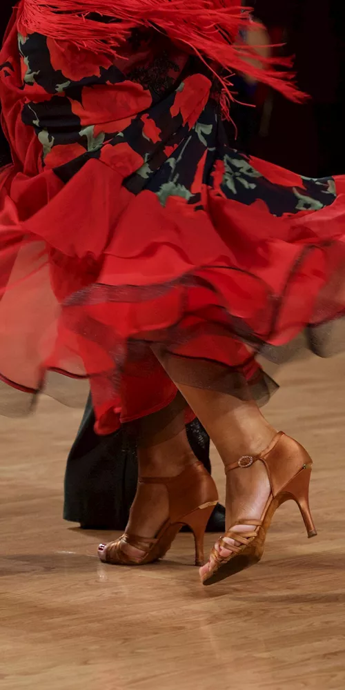 Flamenco Dancer close-up