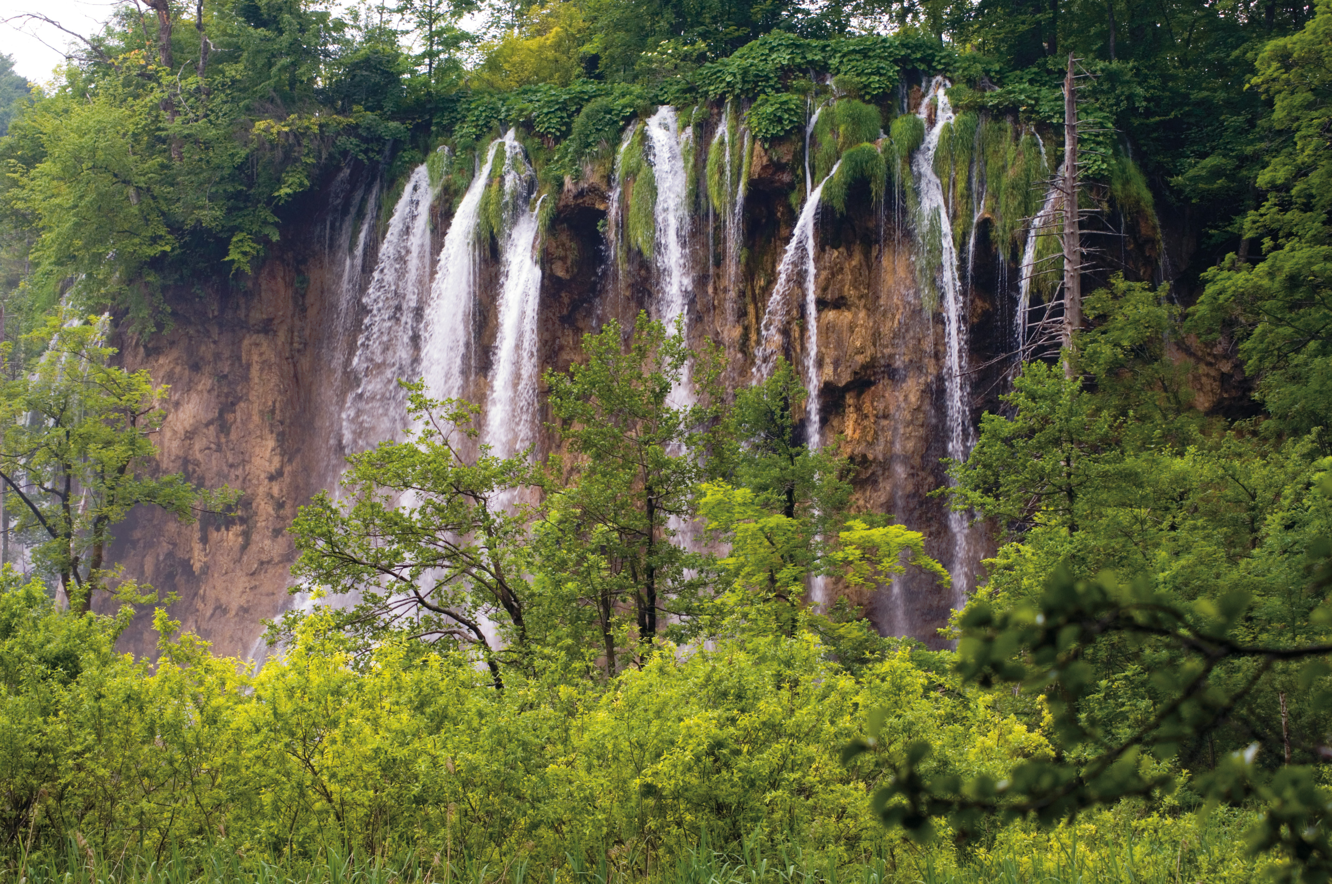 Waterfall behind tree branches