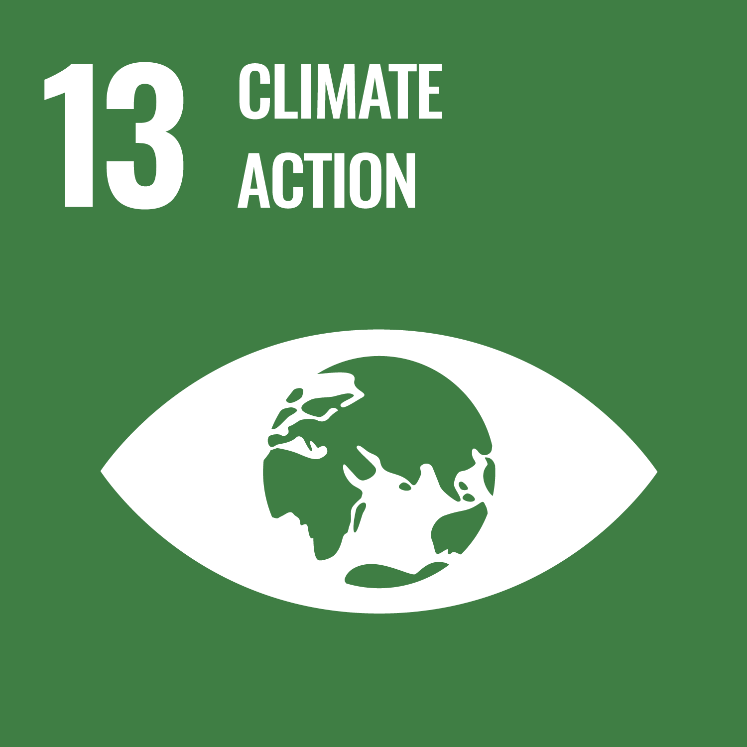 '13 climate action' against green background