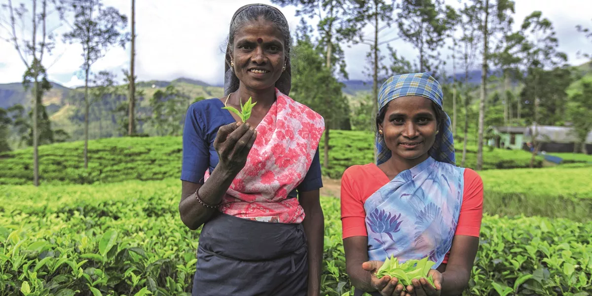 Classical Sri Lanka Guided Tour