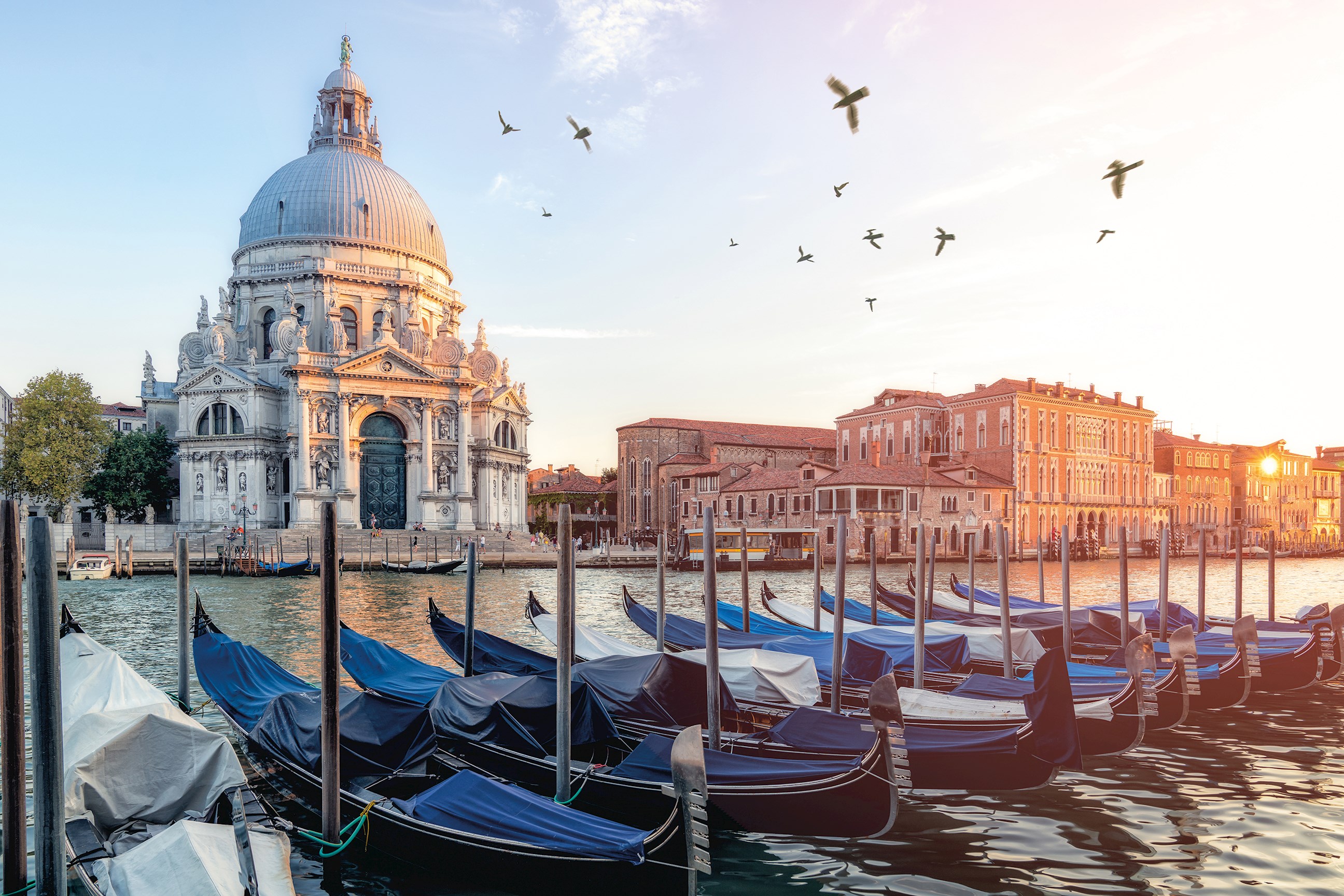 Guided Tours Of Italy 2024 Nelle Yalonda