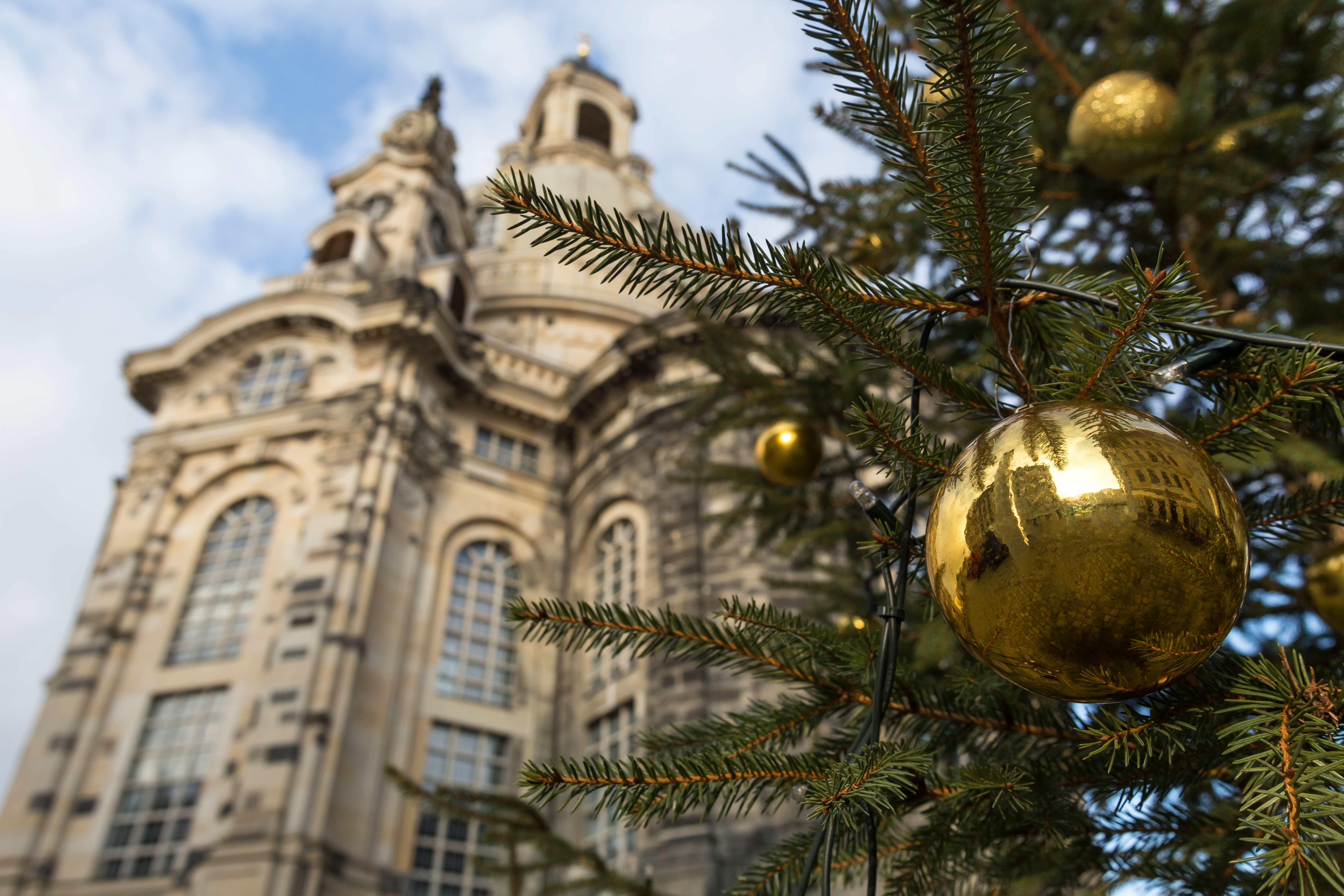 Frauenkirche Church with a Christmas tree in the foreground in Dresden, Germany