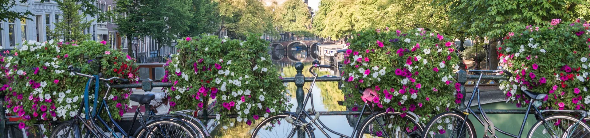 Bikes on a bridge in Amsterdam, Netherlands