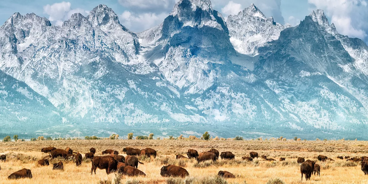 American Parks Trail Guided Tour