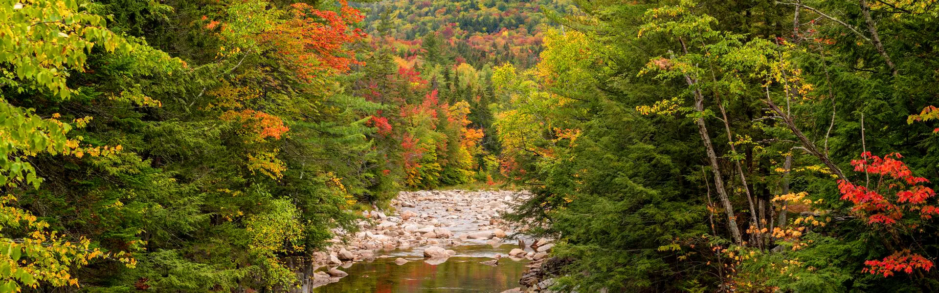 Large White Mountain National Forest New Hampshire USA 10