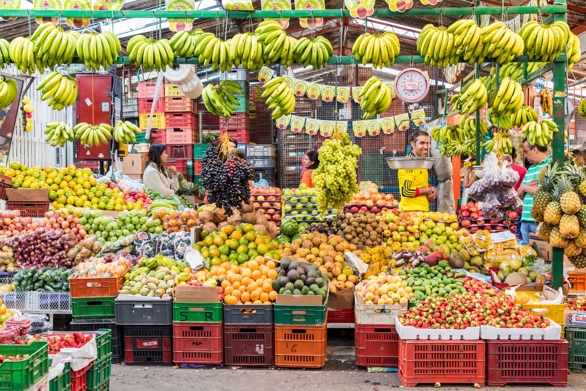 Bananas and fruits at a market
