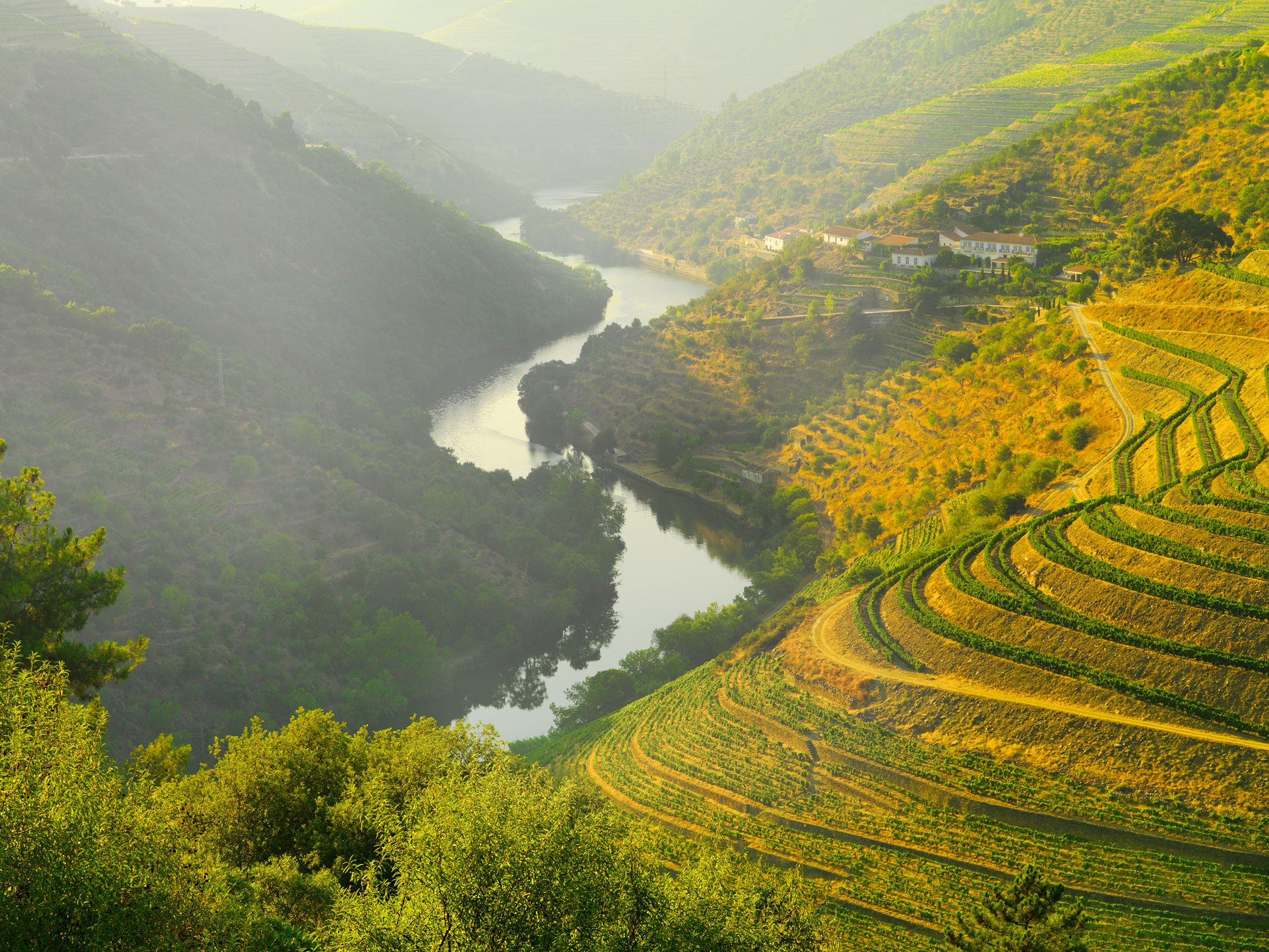 Vineyards Douro Valley Gettyimages 173963435