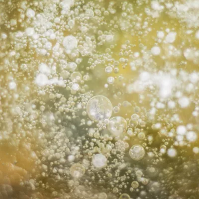 Champagne Bubbles