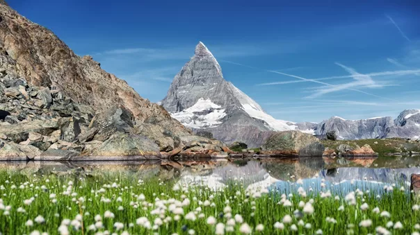 The Matterhorn with grass in the foreground in the Swiss Alps at Summer Time