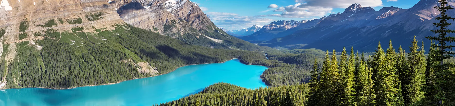 Panorama Of Peyto Lake In Banff National Park