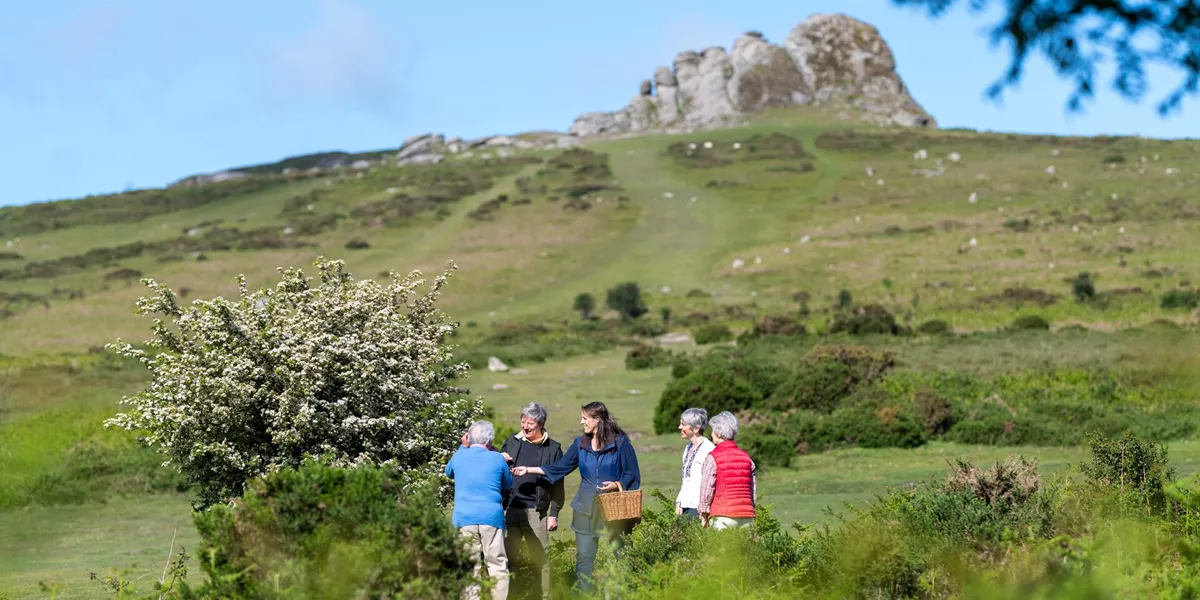 Foraging in Dartmoor National Park in Devon, England