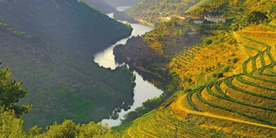 Country Roads of Portugal Guided Tour
