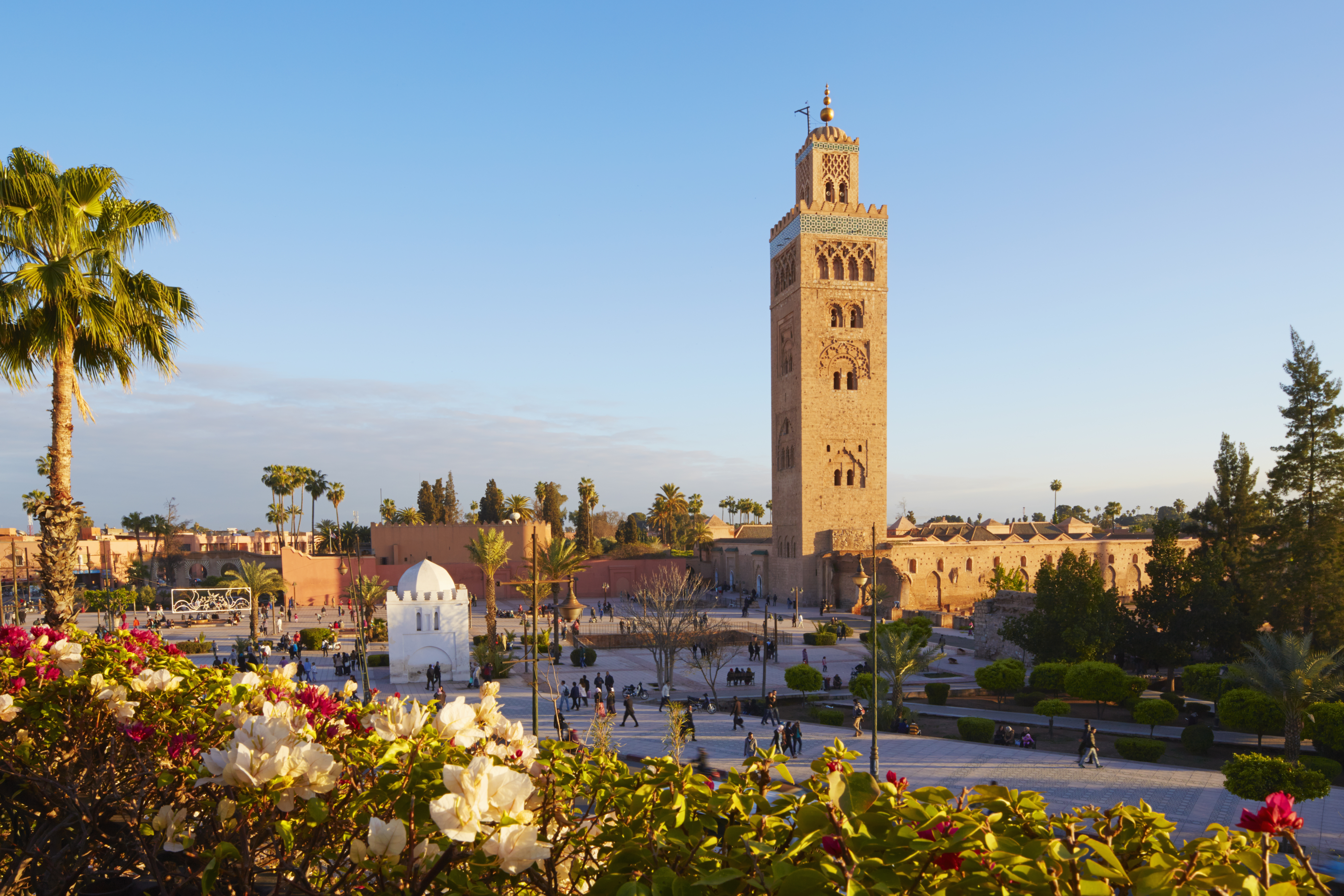 Koutoubia Mosque, Marrakesh, Morocco 599585491