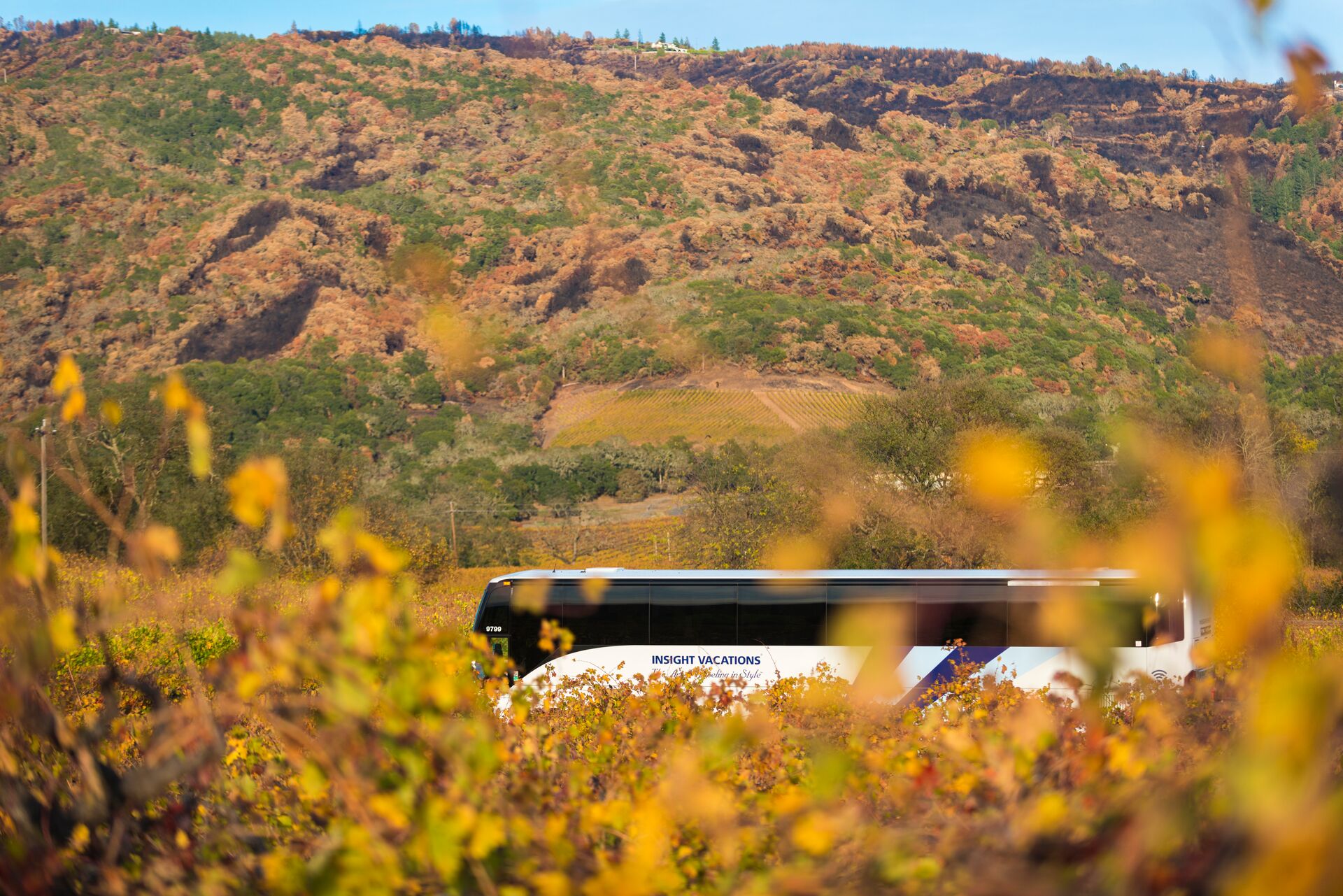 Insight Vacations coach driving through Sonoma in Northern California, USA