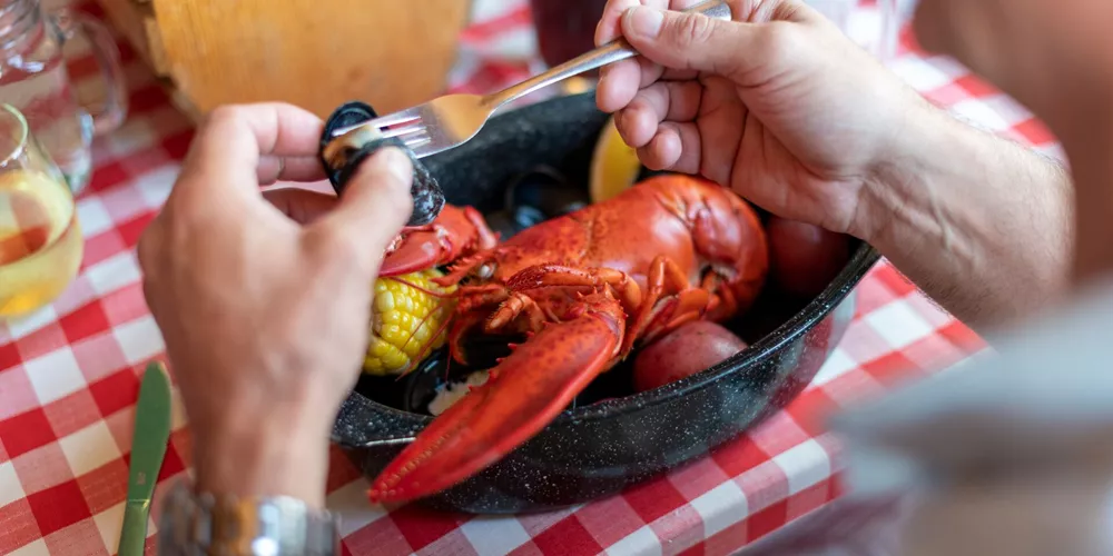 Dining Bar Harbor Maine USA 15