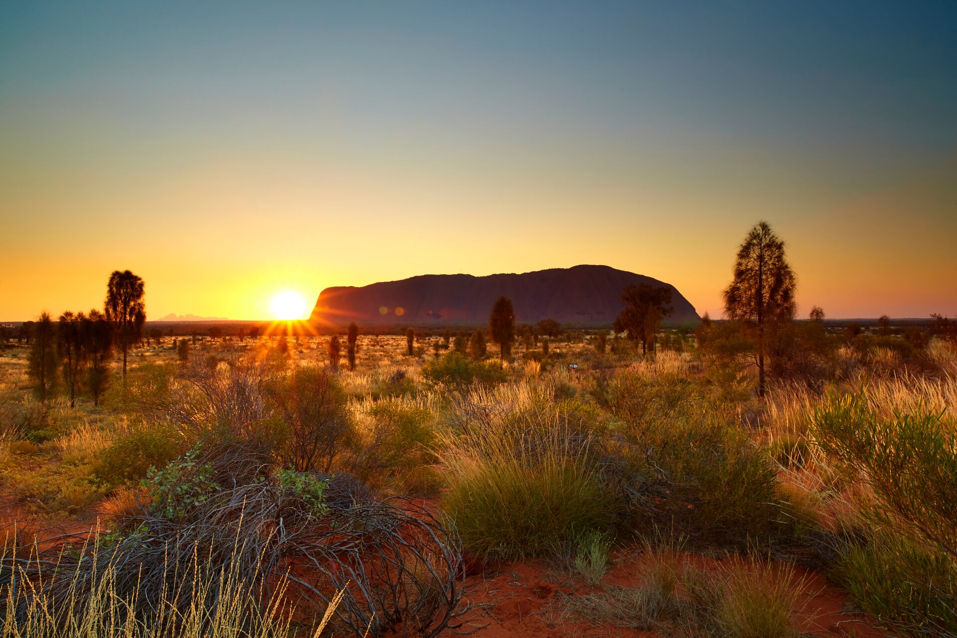 A Panoramic Journey through Australia: Panascopes by Lik