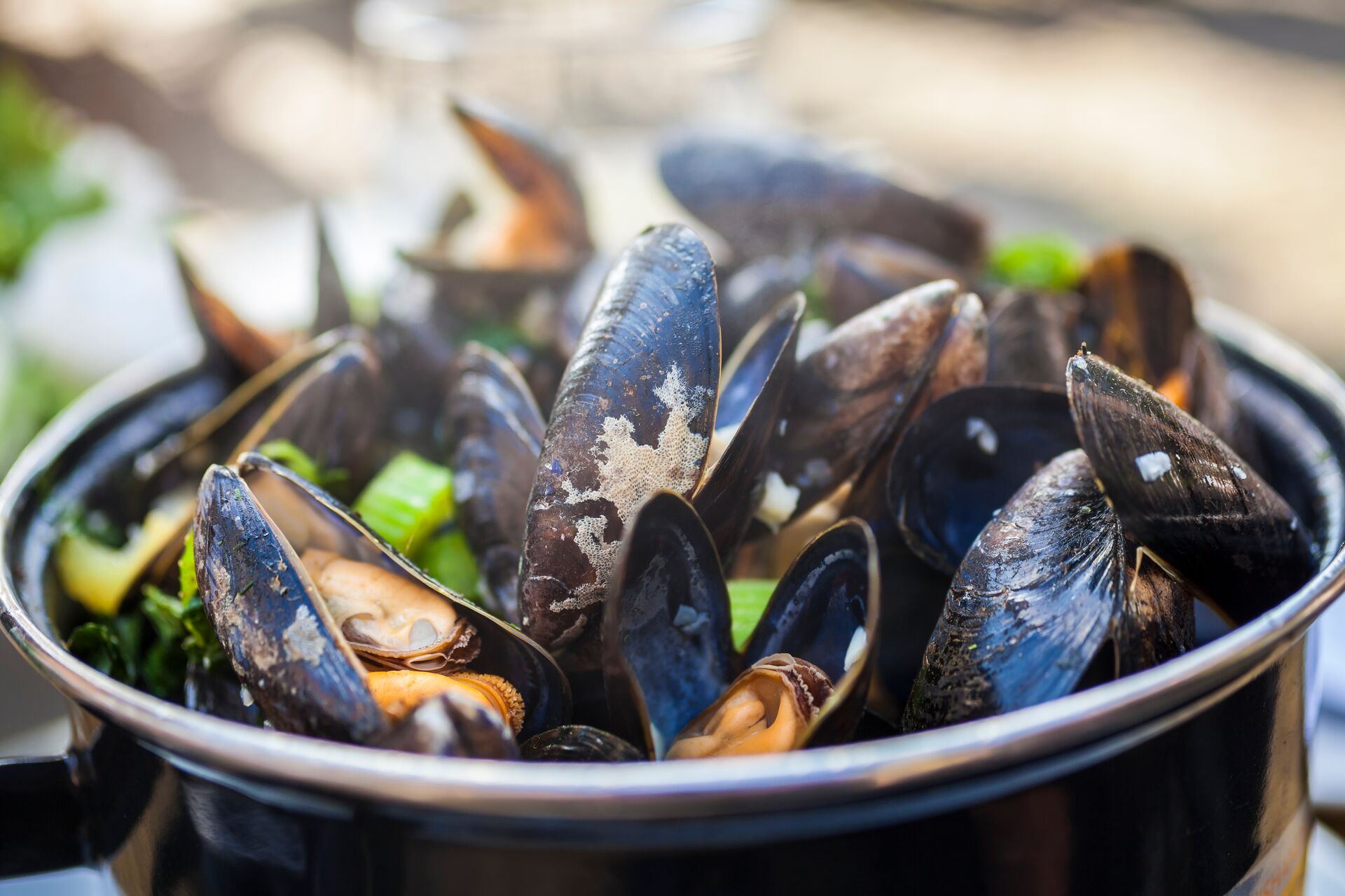 Close up of Moules Mariniere Mussels