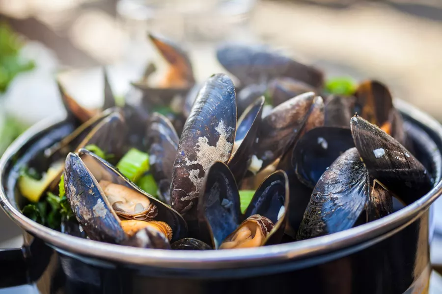 Close up of Moules Mariniere Mussels