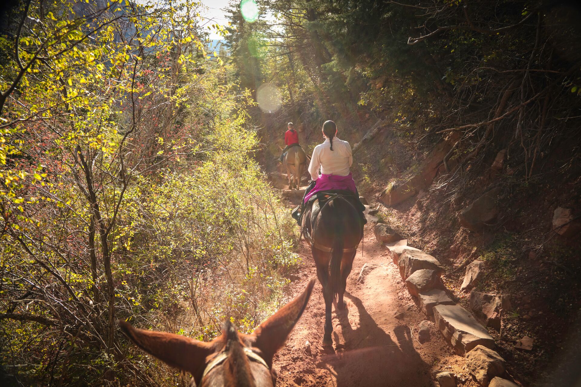 Man riding a horse through a national park in the US