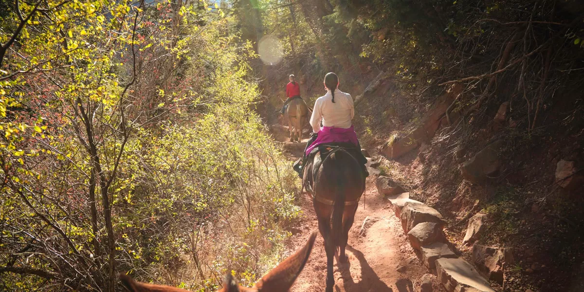 Man riding a horse through a national park in the US