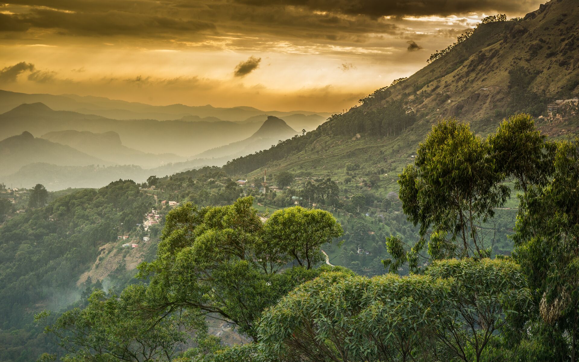 Western Ghats Mountains, Kerala, India