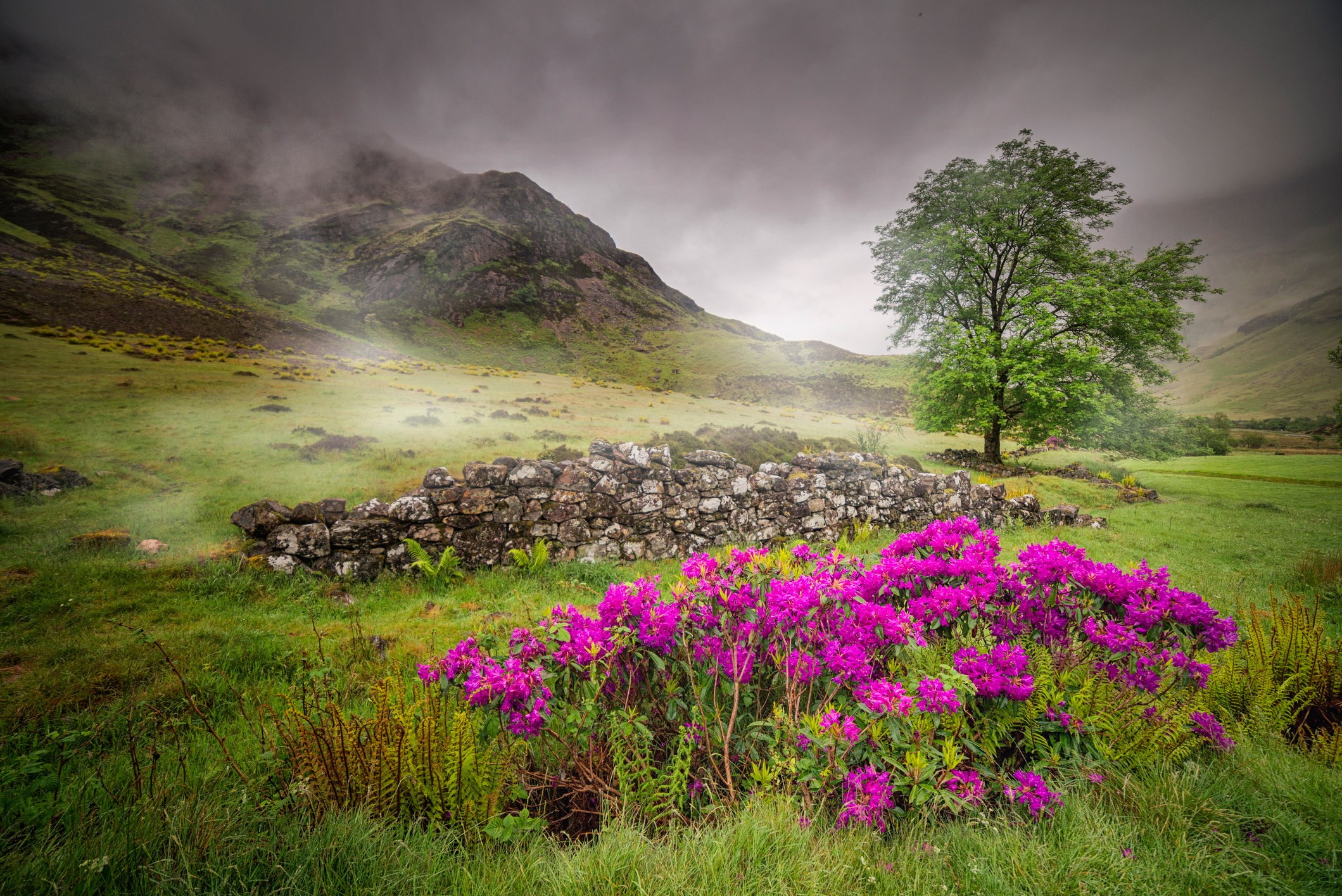 Glencoe Valley Glencoe Scotland 15