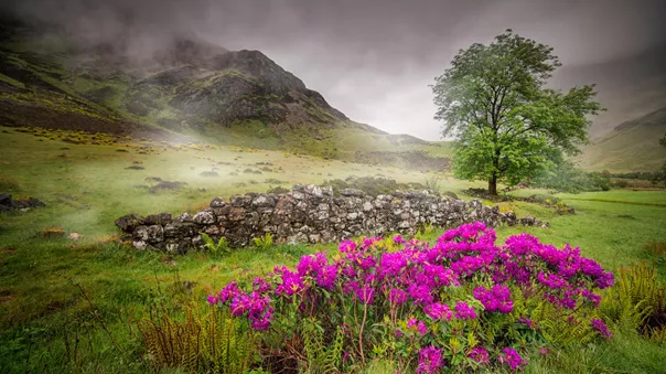 Glencoe Valley Glencoe Scotland 15