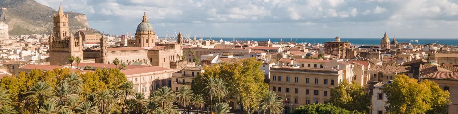 Large AERIAL VIEW AT PALERMO 1362243979