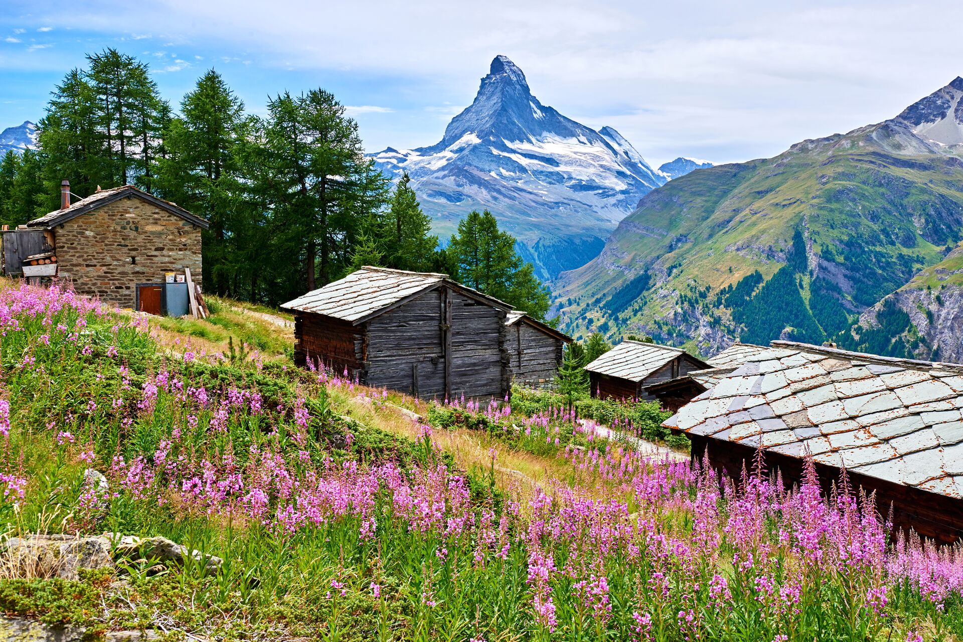 Matterhorn And Rural Scene At Summer Day in the Swiss Alps in Switzerland
