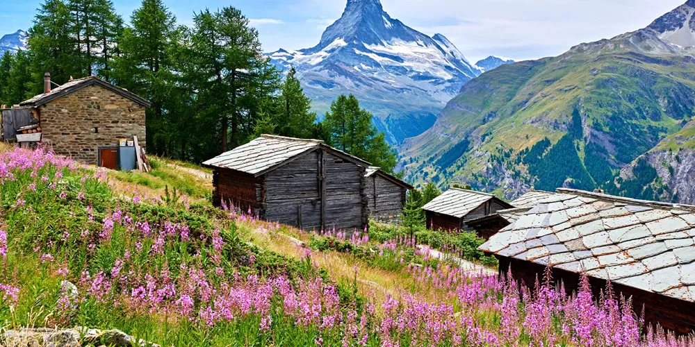 Matterhorn And Rural Scene At Summer Day in the Swiss Alps in Switzerland