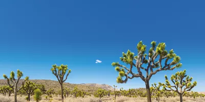 Desert Escapes of California and Arizona Guided Tour