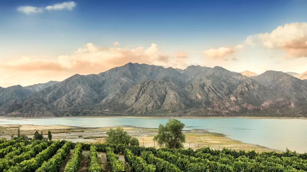 Sunset at a Malbec Vineyard In The Andes Mountain Range, Mendoza Province, Argentina