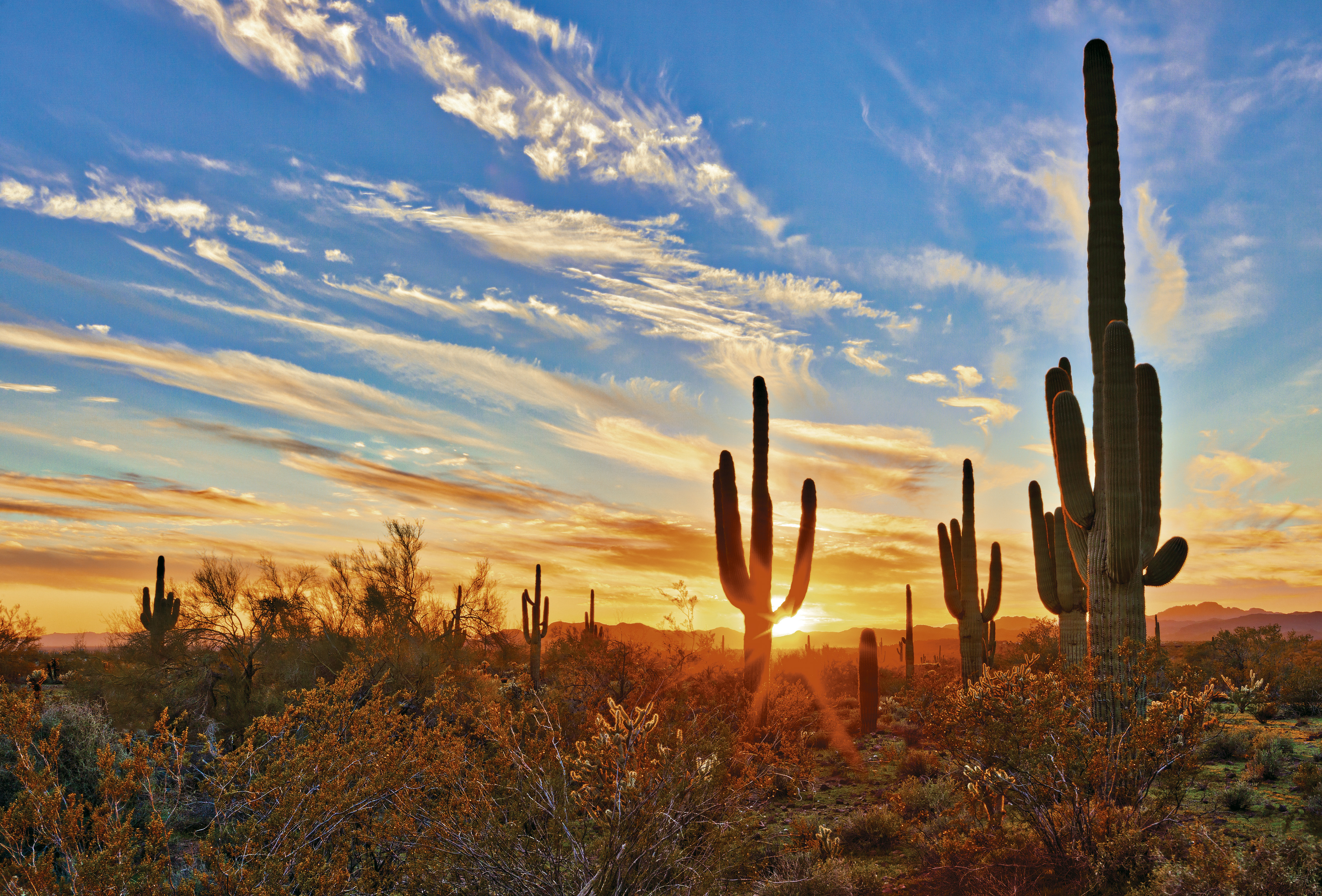 Desert Sunset In the USA