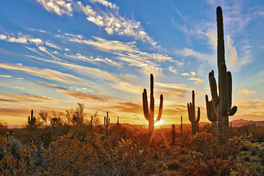Desert Sunset In the USA