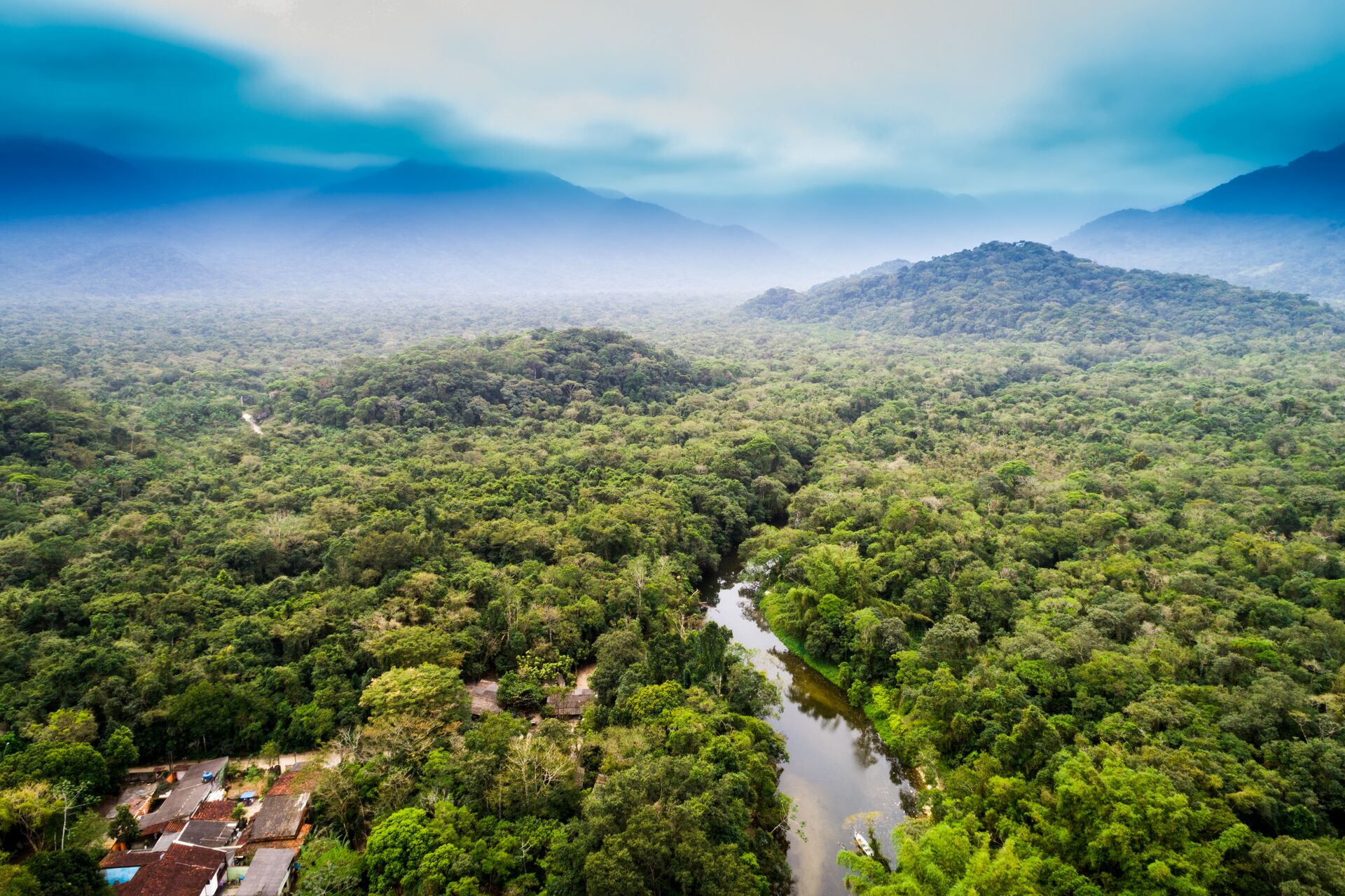 Aerial View of the Amazon Rainforest in South America