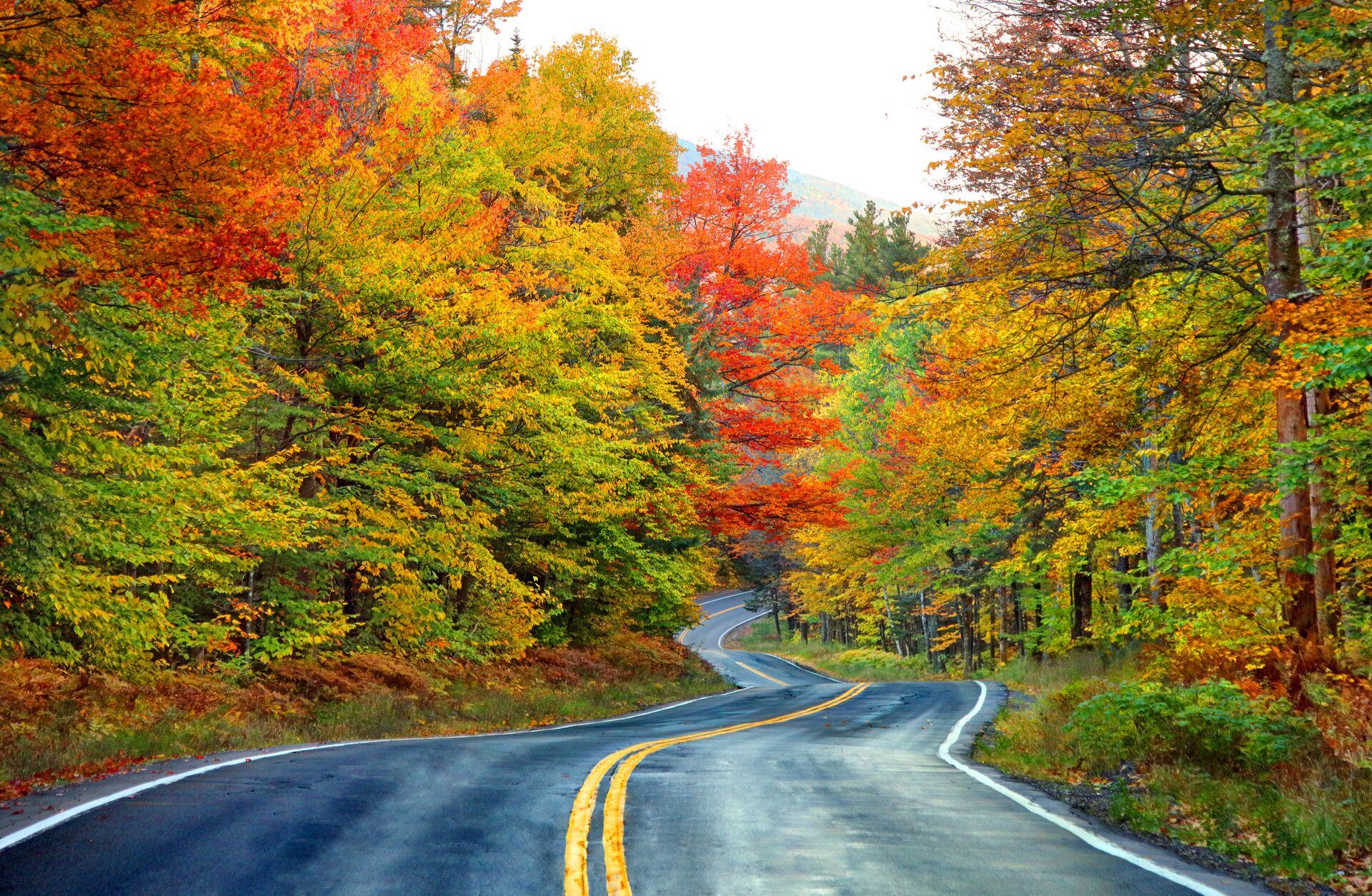 Scenic autumn road in the White Mountains of New Hampshire, USA
