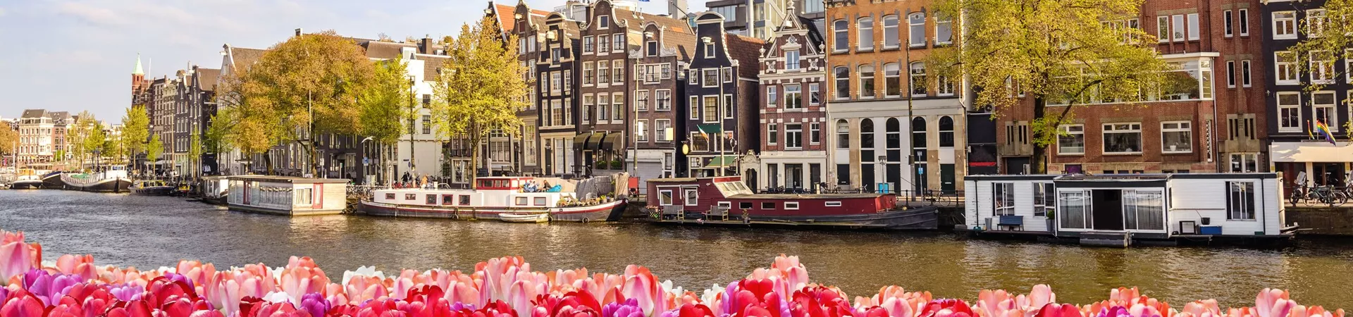 Amsterdam City Skyline At Canal Waterfront With Tulip Flowers, Amsterdam, Netherlands