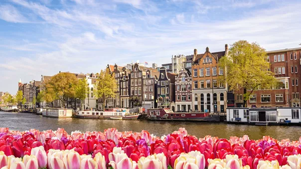Amsterdam City Skyline At Canal Waterfront With Tulip Flowers, Amsterdam, Netherlands
