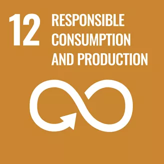 '12 Responsible Consumption and Production' against brown background