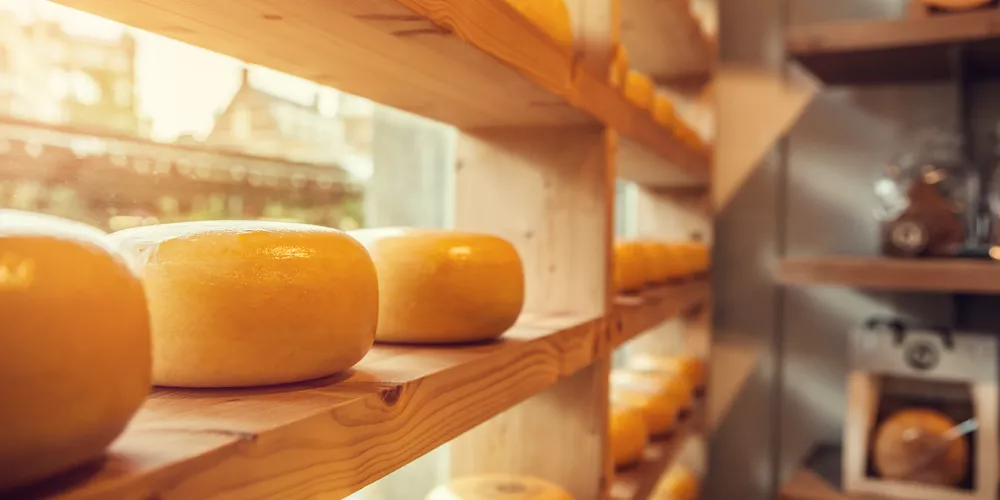 Rows of cheese on display in the Netherlands