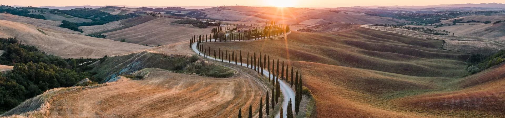 Large Road Among Cypress Trees, Tuscany, Italy 1267355883