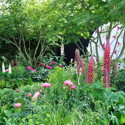 Lush Garden