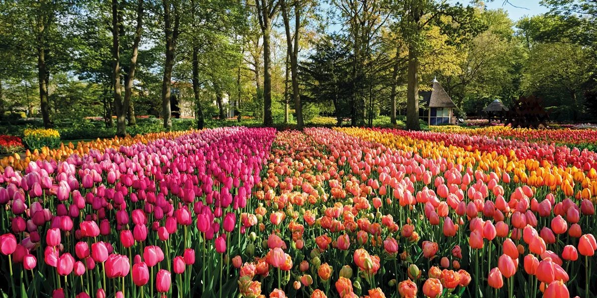 Chelsea Flower Show and Springtime Alps Guided Tour