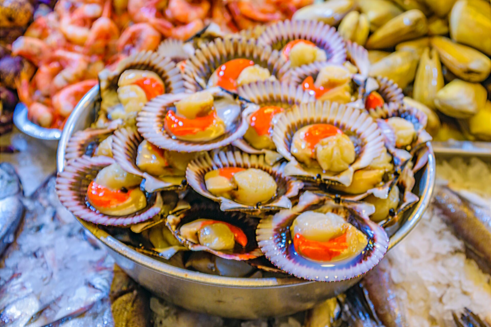 Large Oysters At Central Market, Santiango De Chile 1129632440