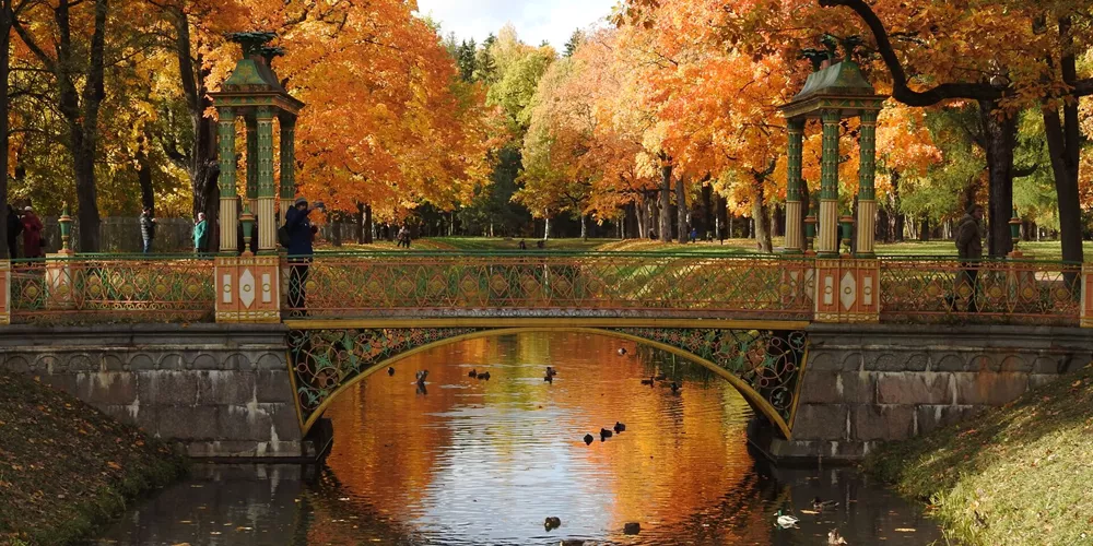 Arch bridge over a lake during autumn