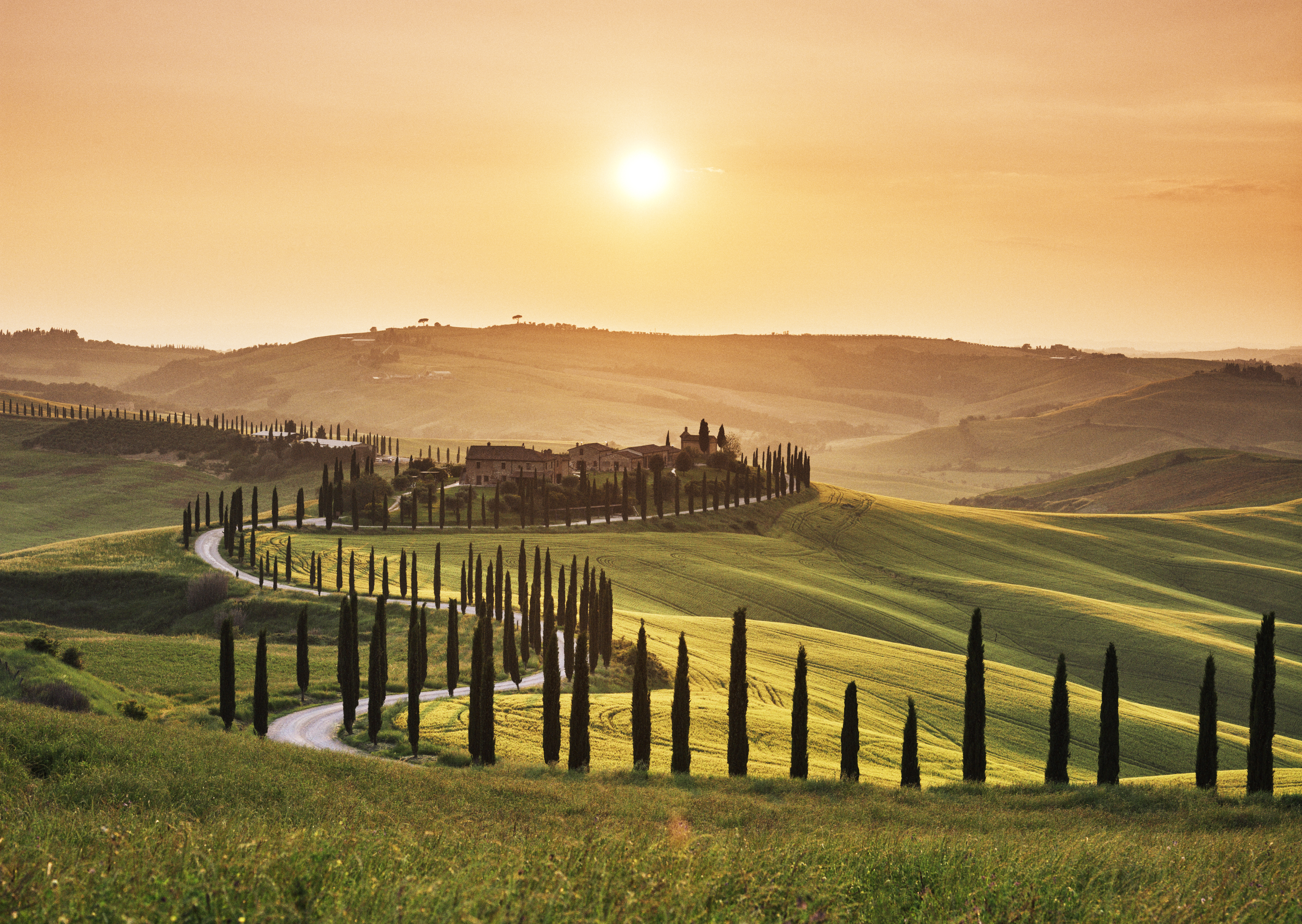 Road leading through Tuscan landscape at sunset
