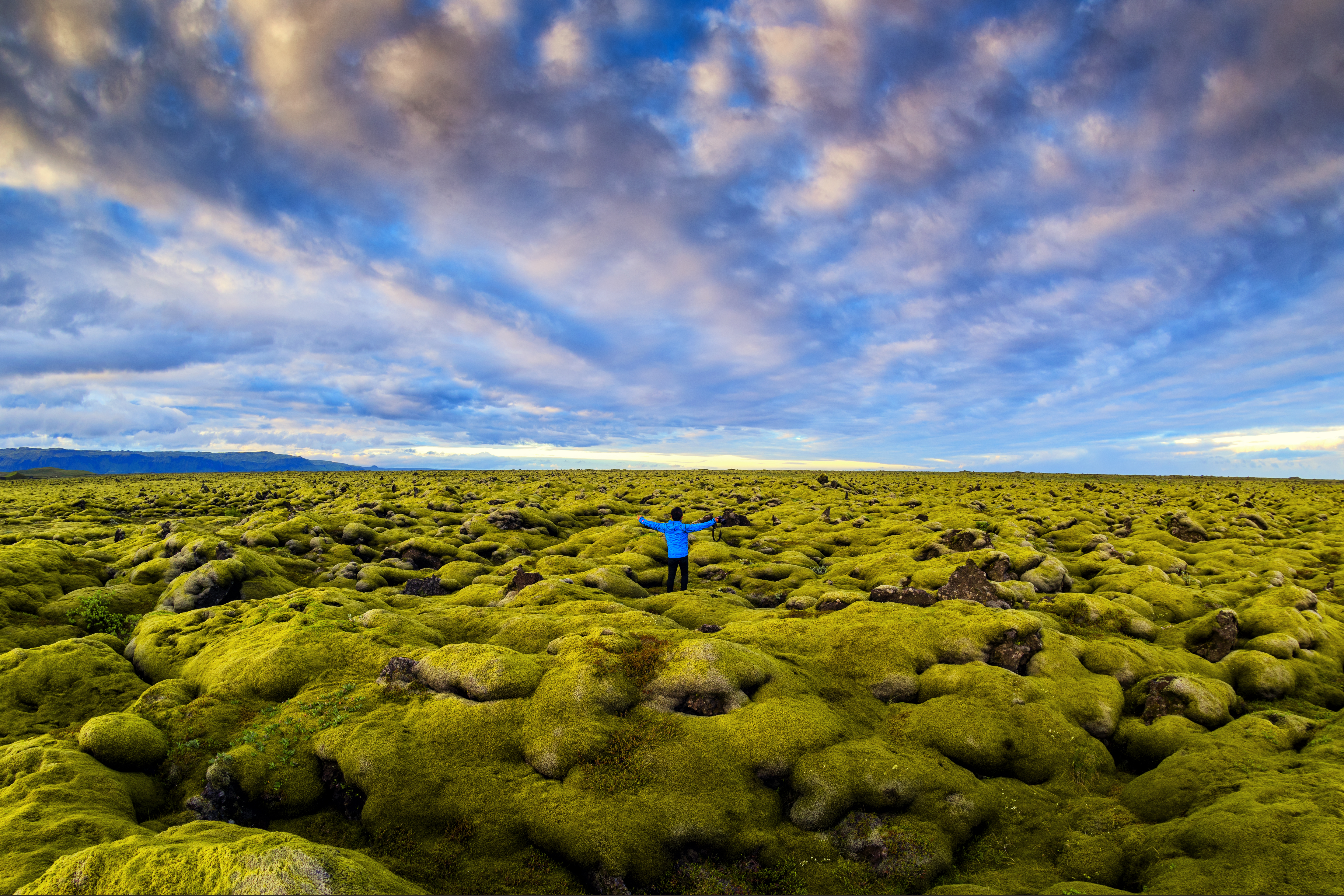 Lava Moss Field In Iceland 827832836