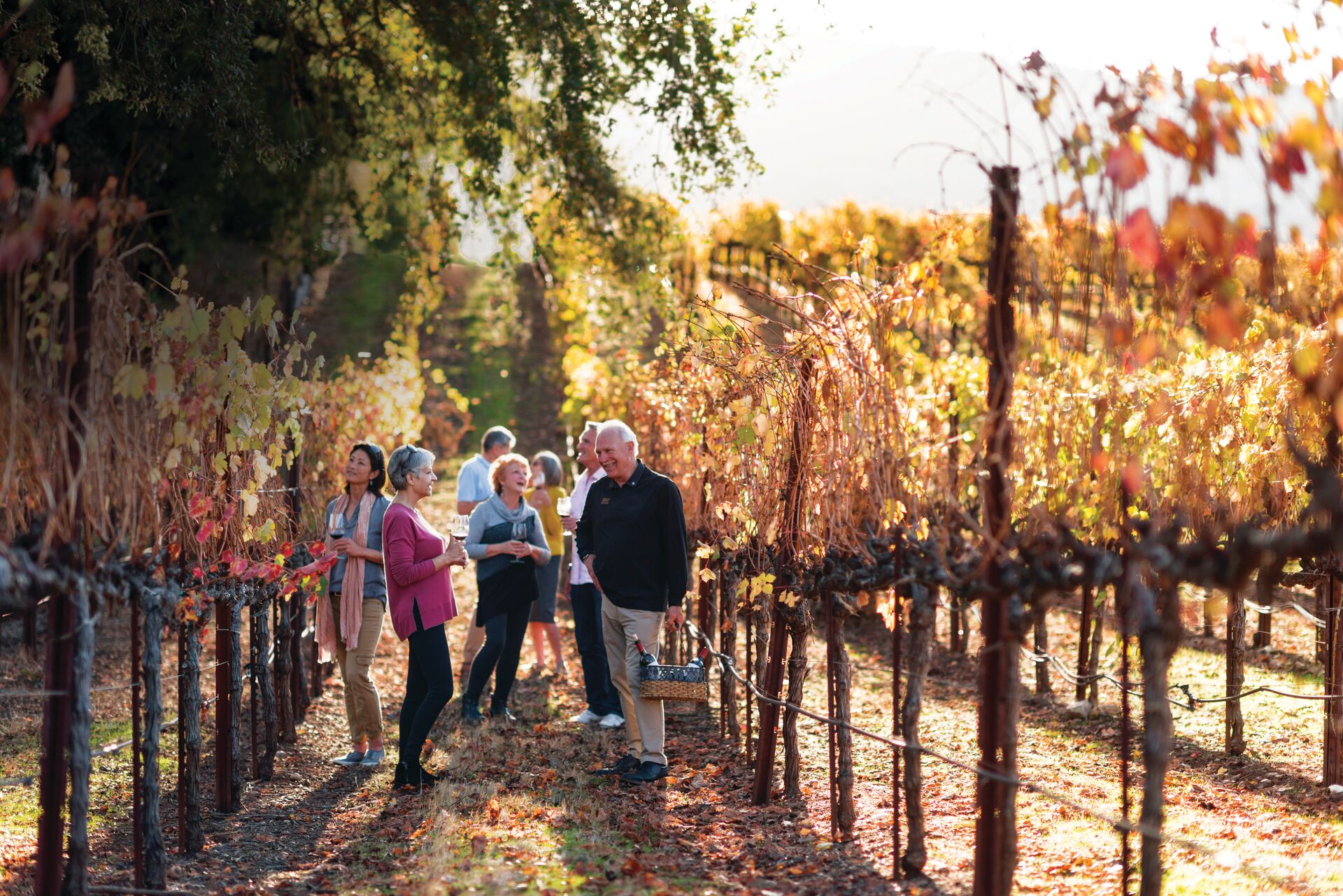 Guests drinking in the vinyards of Madrone Winery in Sonoma, California, USA